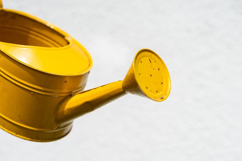 Enchanted watering cans
