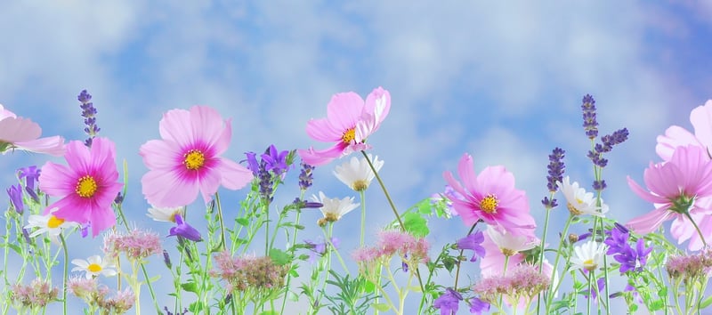 Fantasy garden